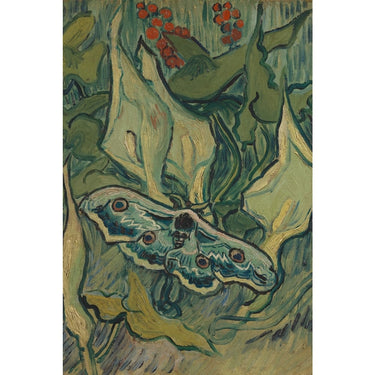 Night Canvas Van Gogh